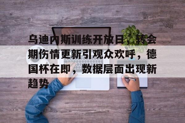 爱游戏手机版-乌迪内斯训练开放日，转会期伤情更新引观众欢呼，德国杯在即，数据层面出现新趋势的简单介绍